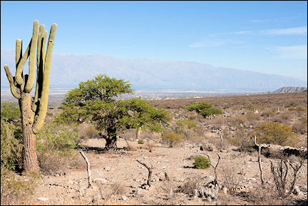 Argentina - Bare, with grit and cactuses on the way to Abra del Infiernillo