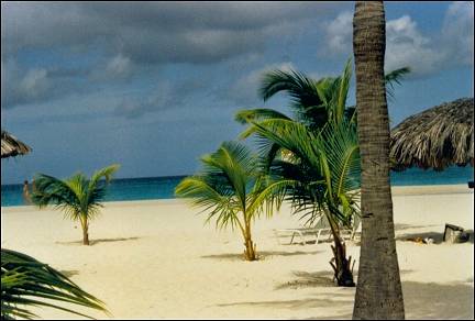 Aruba - Manchebo Beach
