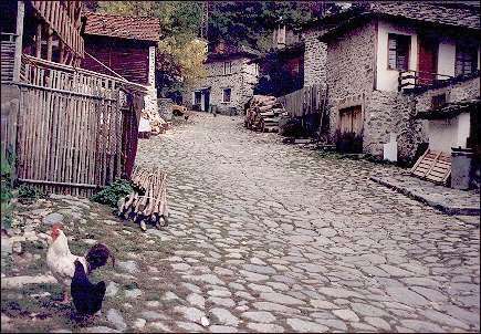 Bulgaria, Rodopi Mountains - Street in Siroko Lâka