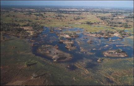 Botswana - Moremi Game Reserve from the sky