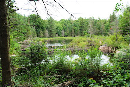 Canada, Ontario - Mizzy Lake Trail through Algonquin Provincial Park