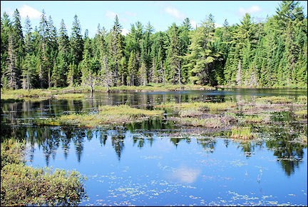 Canada, Ontario - Mizzy Lake Trail through Algonquin Provincial Park