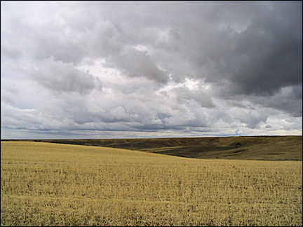Canada, Saskatchewan - Grasslands National Park