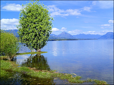 Chile - Lago Calafquén