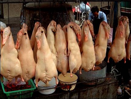 China, Yunnan - Peking duck in Kunming market
