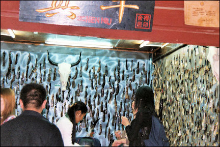 China, Yunnan - Yak bone shop Lijiang