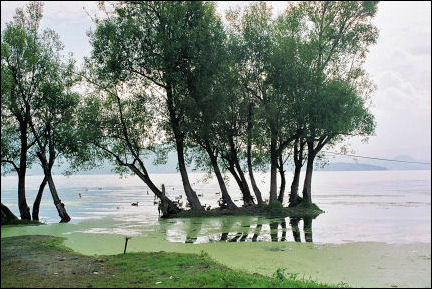 China, Yunnan - Lake Erhai near Dali