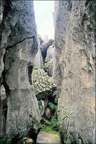 China, Yunnan - Stone Forest near Kunming
