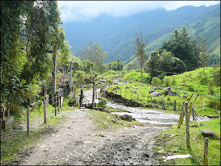 Colombia, Salento - Hike Valle de Cocora