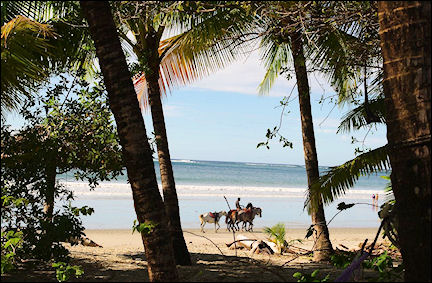 Costa Rica - Samara beach