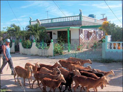 Cuba - Playa Larga, casa particular