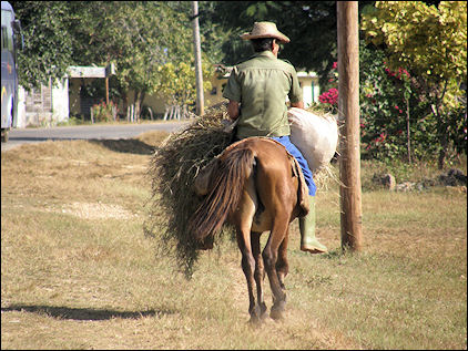Cuba - Transportation by horse