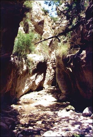 Cyprus - Avgas canyon