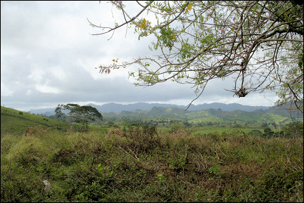 Dominican Republic - Landscape between Punta Cana and Miches, in the Cordilla Oriental