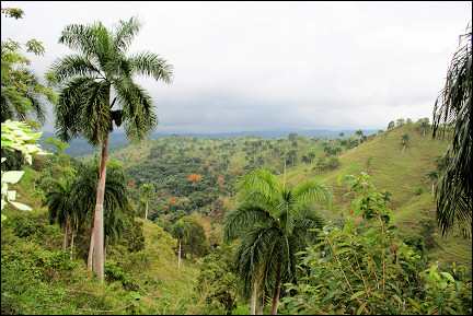 Dominican Republic - Landscape between Moca and Cabarete