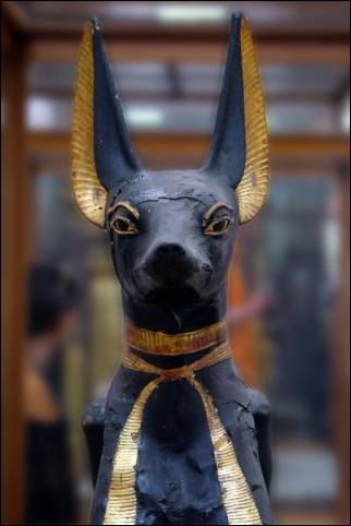 Egypt - Caïro, Anubis statue in Egypt Museum