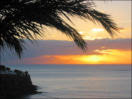 La Gomera, Canary Islands - Playa de Santiago, palmtree in setting sun