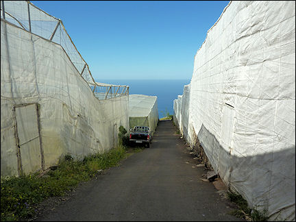 La Palma, Canary Islands, Spain - Plastic greenhouses