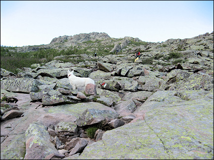 France, Corsica - Climbing on slabs