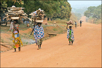 Ghana, Nkwanta-Bimbila - Women carry wood