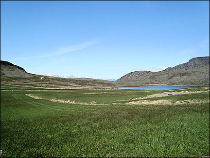 Greenland - Green grass and blue lake, surroundings Igaliku