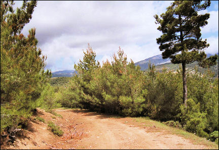 Greese, Thassos - Hiking trail near Potos
