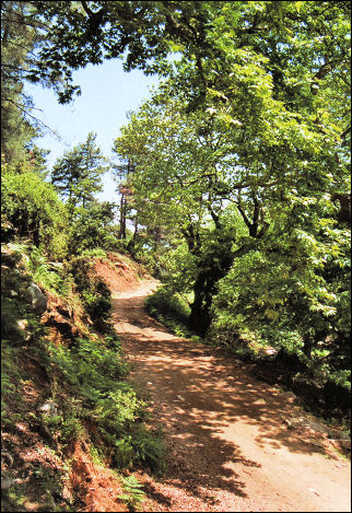 Greece, Thassos - Hiking trail near Potamia