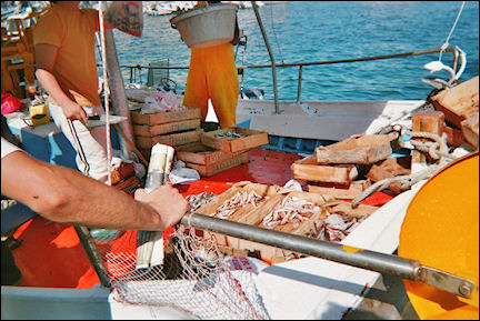 Greece, Saronian islands - Hydra, fishers port
