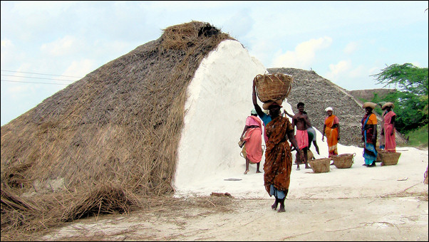 India, Tamil Nadu - Salt mining
