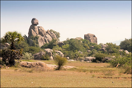 India, Tamil Nadu - Pondicherry, landscape with scattered basalt blocks