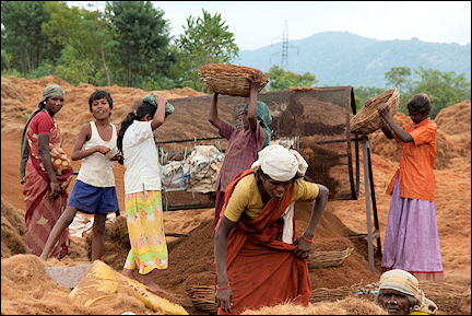 India, Tamil Nadu - Women win coconut fibre