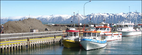 Iceland - DalvikDalvik, port