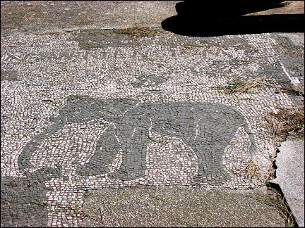 Italy, Rome - Ostia, mosaics floor