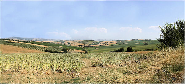 Italy, Emilia Romagna - Rolling hills