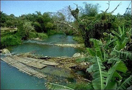 Jamaica - Martha Brae, beautiful river in a lush landscape