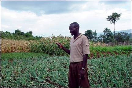 Kenya - Farmer