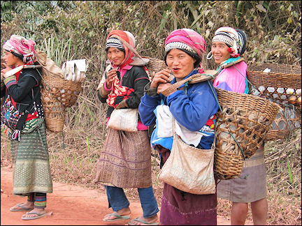 Laos - Mountain trive women walk to the market