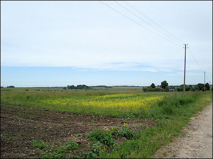 Lithuania, Silenai - Green landscape
