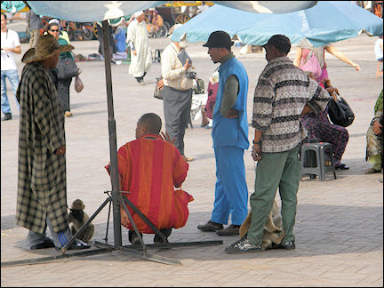 Morocco, Marrakech - Macaques on Jemaa el-Fna