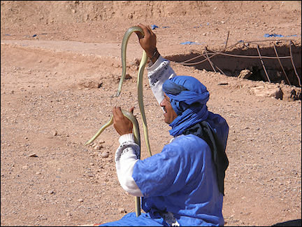 Morocco - Man with snakes at Aït ben Haddou