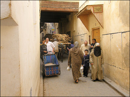 Morocco, Fès - Donkey with hides
