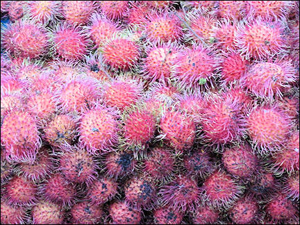 Mexico - A kind of lychees