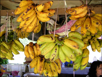 Malaysia, Borneo, Sabah - Market stall with bananas on the way to Sepilok