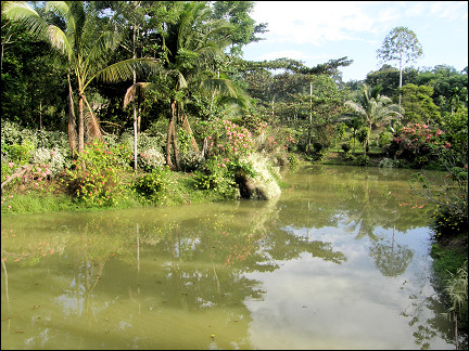 Malaysia, Borneo, Sabah - Sepilok Jungle Resort