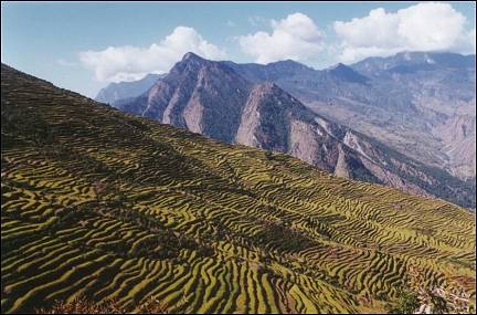 Nepal, Ganesh Himal Trek - Along terraces