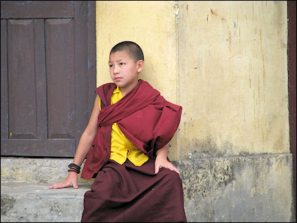 Nepal - Pokhara, young Tibetan monk