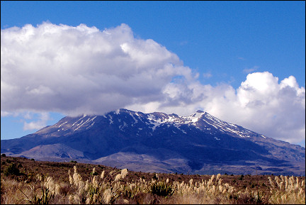 New Zealand - Snow-covered volcano in Tongariro Nationaal Park