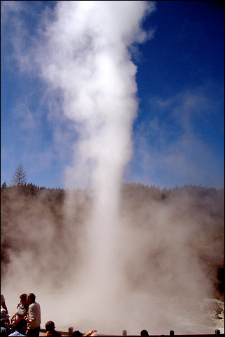 New Zealand - Roturua, steam spouting geyser