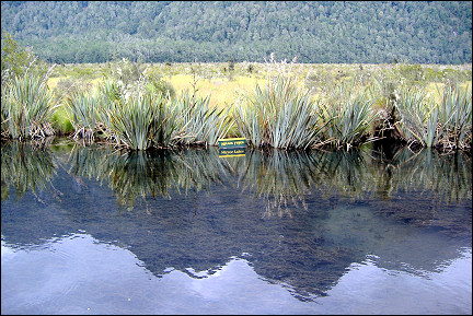 New Zealand - Fiordland, Mirror Lakes