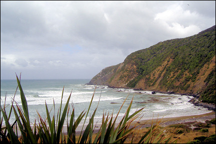 New Zealand - Coastline Catlins